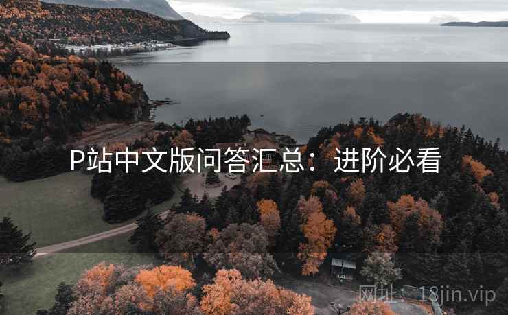 P站中文版问答汇总:进阶必看