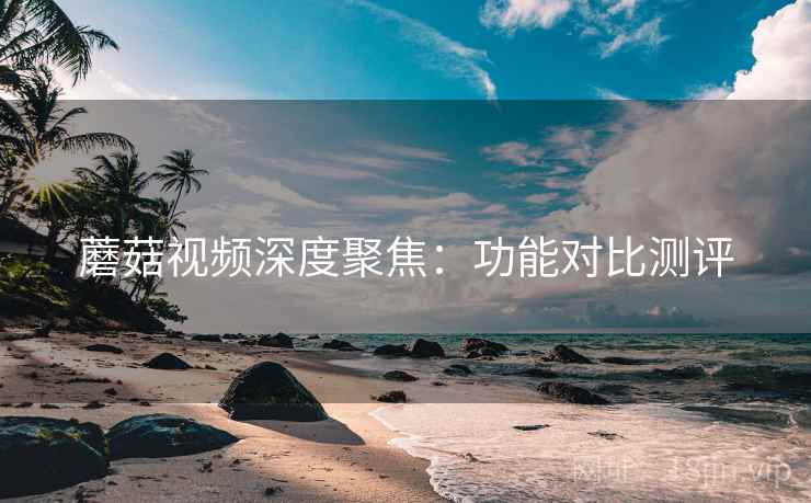 蘑菇视频深度聚焦：功能对比测评